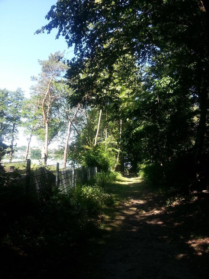 Holzhaus Waldwichtel Am Wald Und See Neuruppin Exterior photo